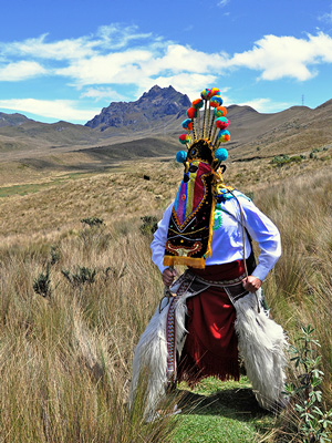 Imagen 2