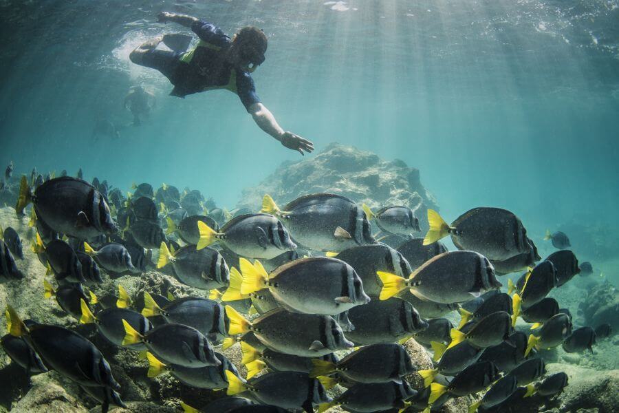Peru & Galapagos – personlig gruppresa genom historiska inkariket till den undersköna skärgården, 16 dagar