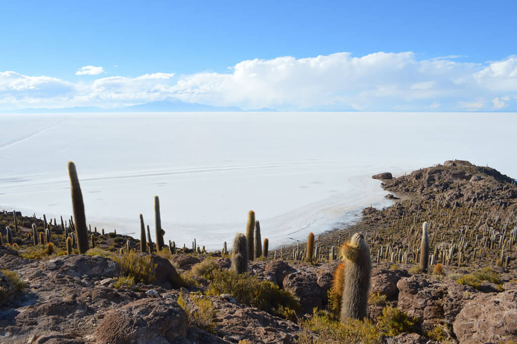 Peru & Bolivia – en personlig gruppresa från Inkariket till saltöknen,16 dagar